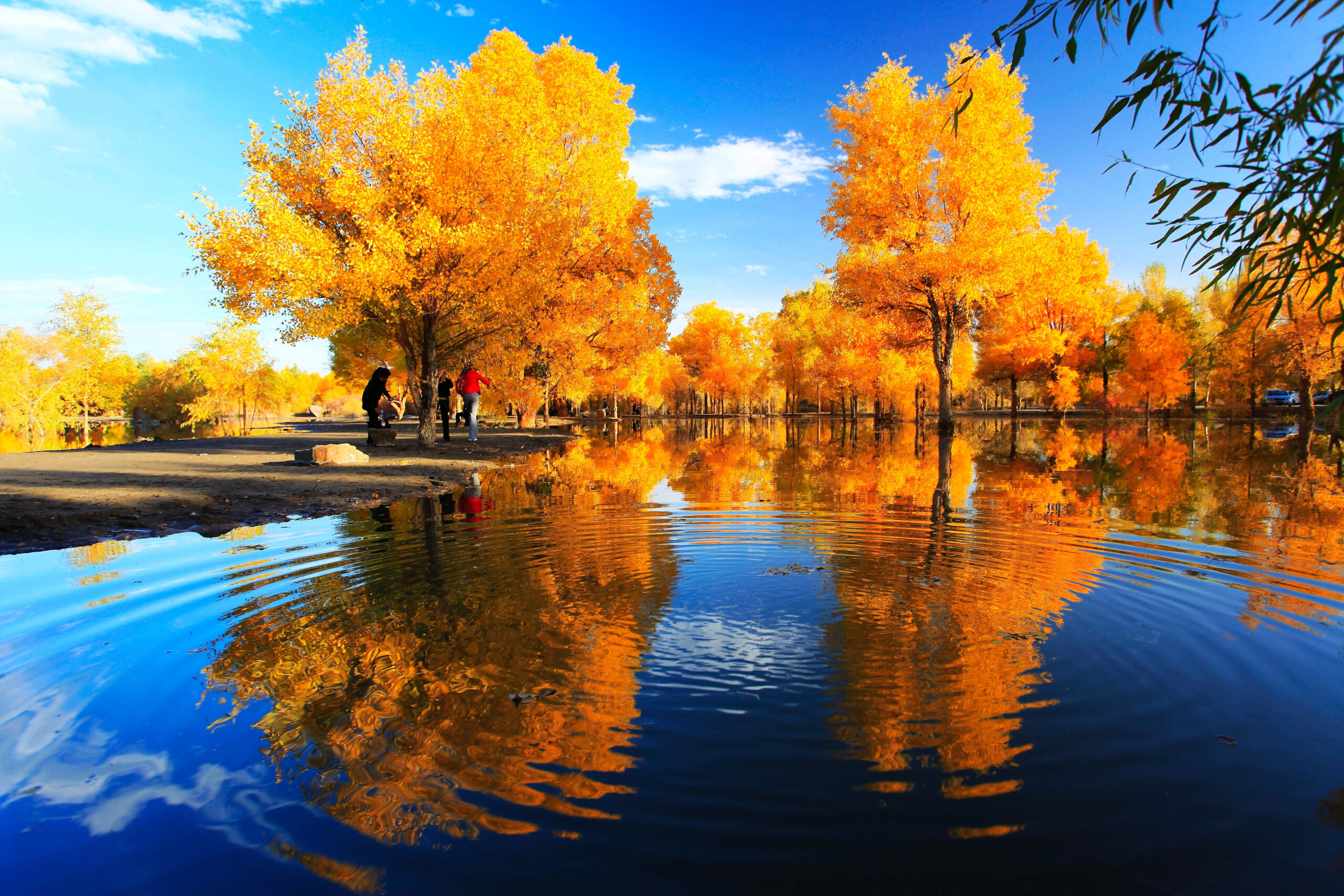 A scenic view of Qingyang Xiaojin Ta