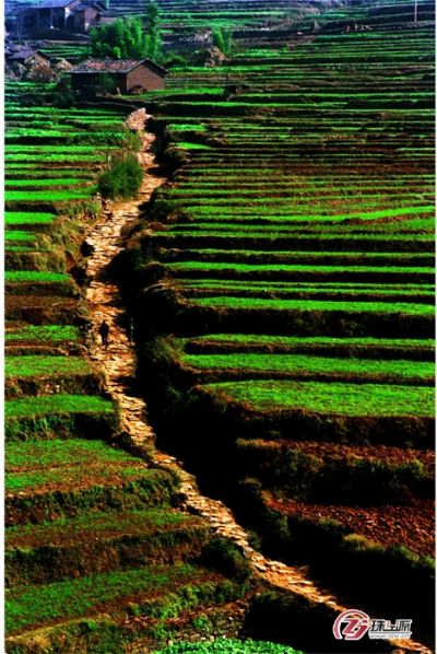 Qujing Kedu Guan Yidao: Explore the Enchanting Trails of Yunnan