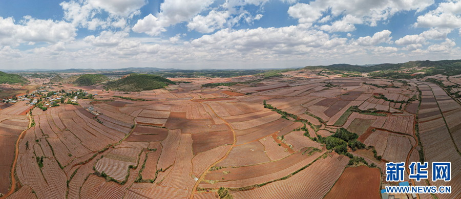 A scenic view of Qujing Luohanshan Gumuqun