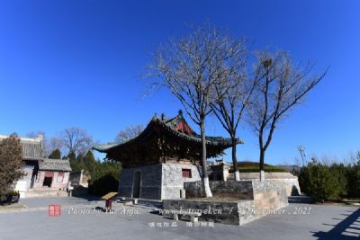 Rikaze Aiwang Si in Shigatse: Your Ultimate Guide to Tibet’s Spiritual Site