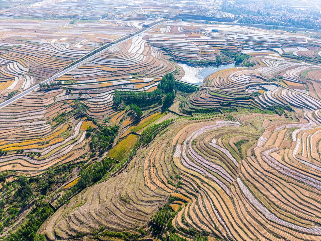 A scenic view of Rizhao Dazhujiacun Yizhi