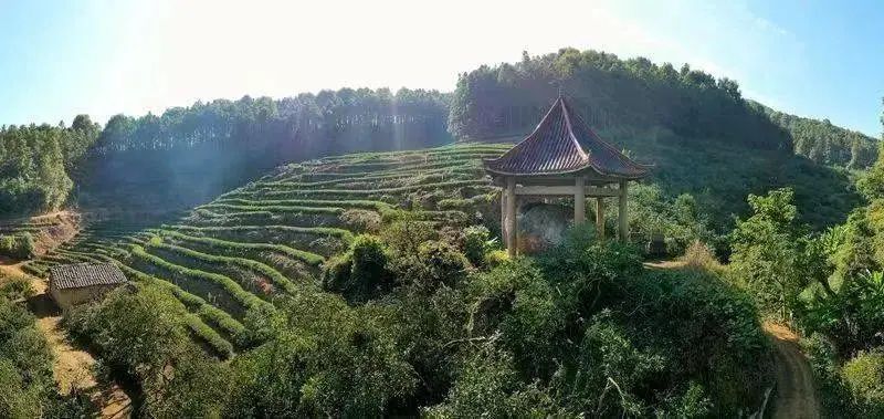 A scenic view of Sanming Zhongcun Yao Yizhi