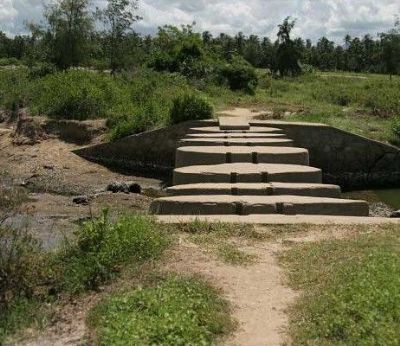 Discovering Sanya Tengqiao Muqun: A Hidden Gem for Nature Lovers in Hainan