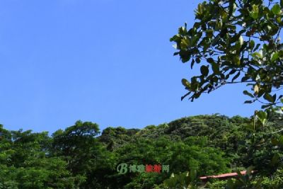 Unveiling Shangluo Zijing Site: A Historical Gem in Shaanxi