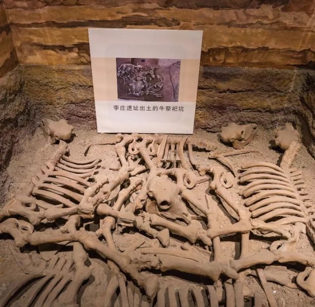 A scenic view of Shangqiu Lizhuangyizhi