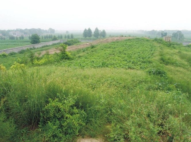 A scenic view of Shangqiu Xuguiduimuqun