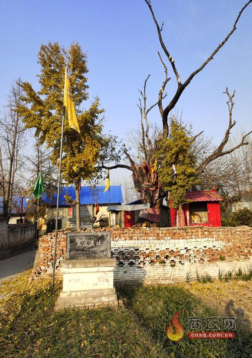 Discover Shangqiu Zhechengmengzhuangyizhi: A Hidden Gem in Henan’s Heart