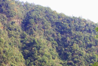 The Ultimate Guide to Shangrao Wufushan Yinqiankuang Yizhi: Scenic Wonders Await