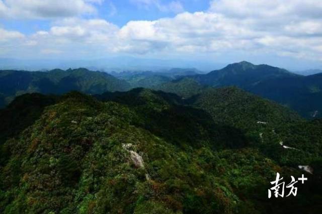 Unveiling Shaoguan Ruyuan Xijing Gudao: Your Ultimate Travel Guide to Nature and Culture