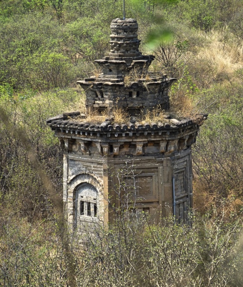 A scenic view of Shijiazhuang Wanshou Temple Pagoda Forest