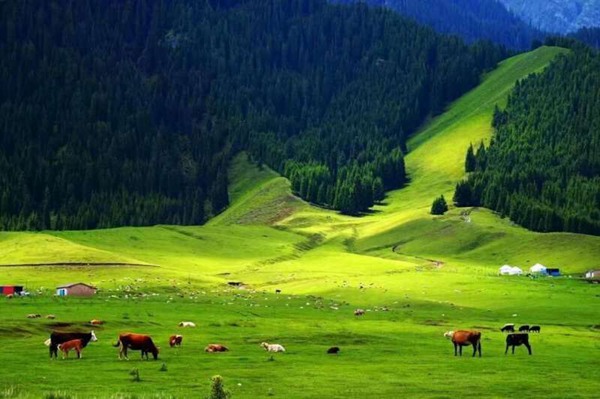 A scenic view of Tacheng Honglou
