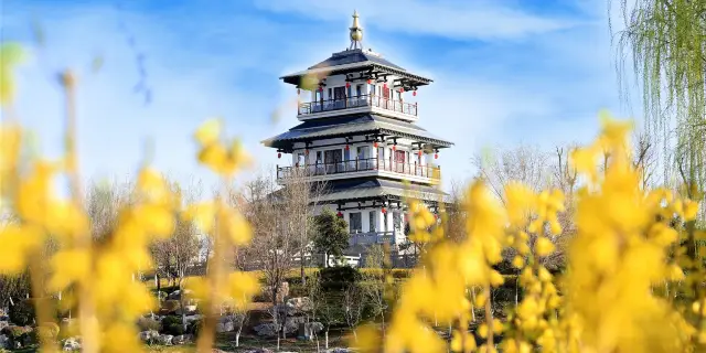 A scenic view of Taian Ningyang Yanzi Miao He Yanlin