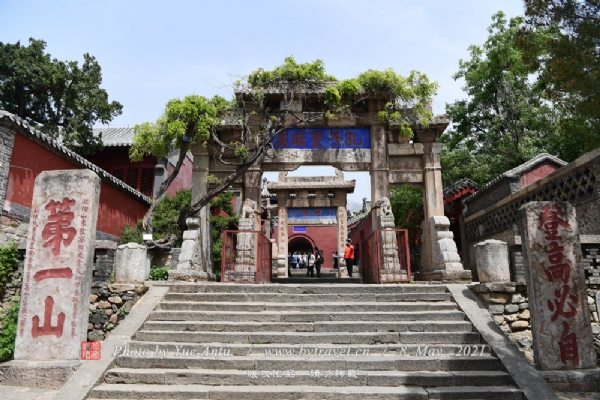A scenic view of Taian Ningyang Yanzi Miao He Yanlin