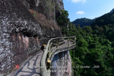 A scenic view of Taian Ningyang Yanzi Miao He Yanlin