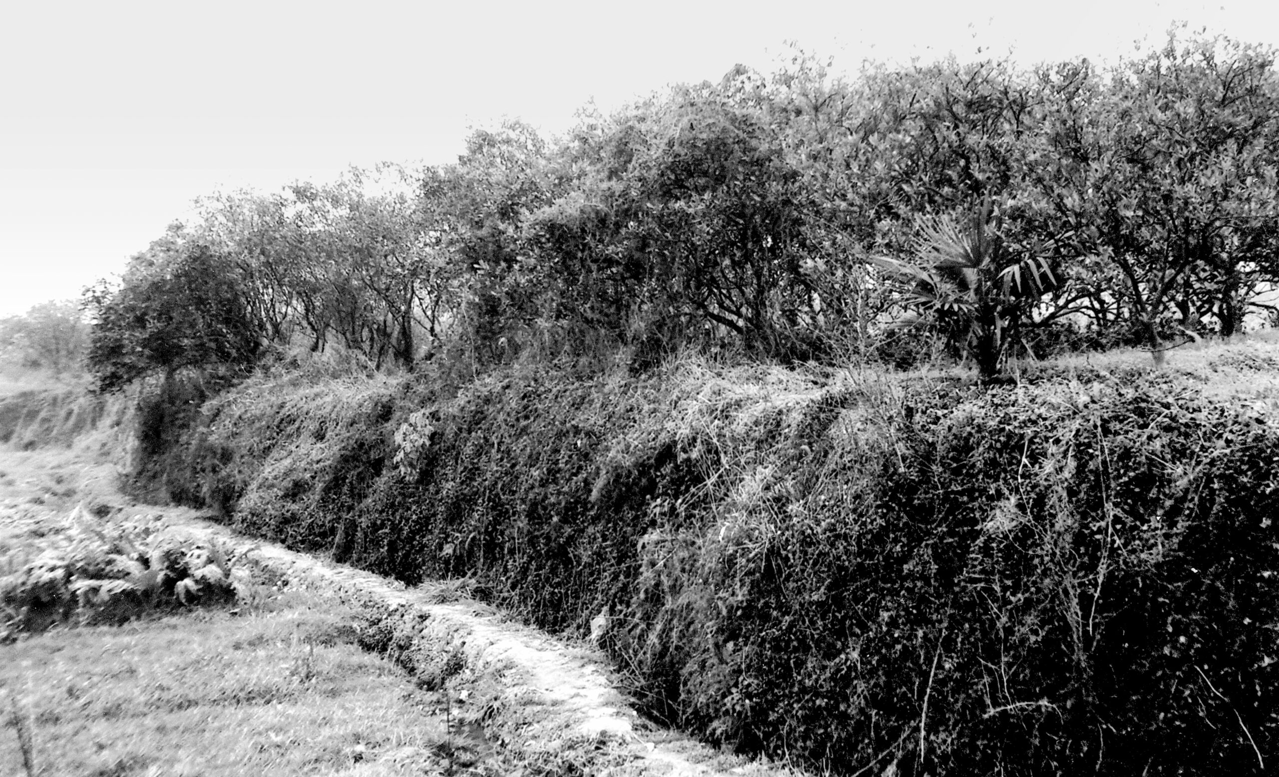 A scenic view of Taizhou Daxi Dongou Gucheng Yizhi