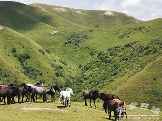 A scenic view of Tianshui Fangmatan Muqun