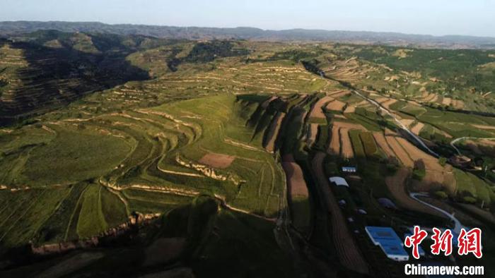 Unveiling Tianshui Majiayuan Yizhi: Your Ultimate Guide to Cultural Wonders