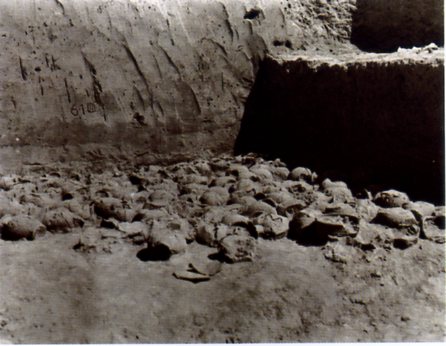 A scenic view of Tongchuan Huangbaozhen Yaozhou Kiln Site