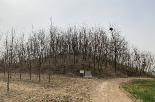 A scenic view of Weifang Gaomi Gucheng Yizhi