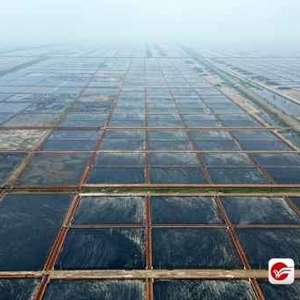 A scenic view of Weifang Shuangwangcheng Yanye Yizhiqun