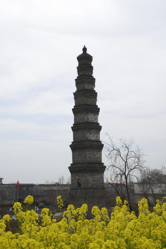 A scenic view of Weinan Bailiang Shousheng Temple Pagoda
