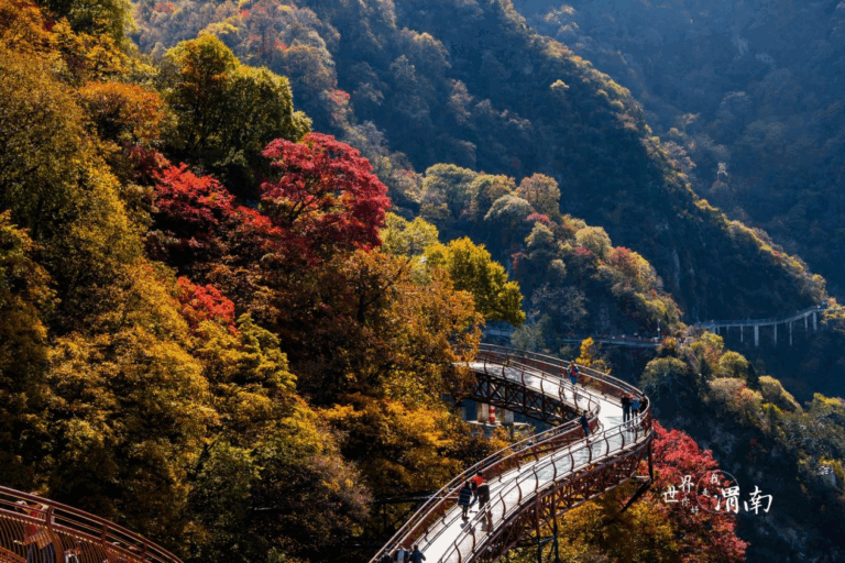 Uncovering Weinan’s Qiaoshang Bridge: A Traveler’s Guide to Shaanxi
