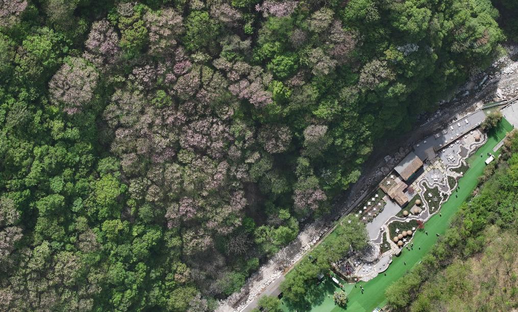 A scenic view of Weinan Yongyuanling Mausoleum