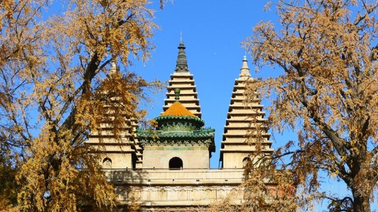 The Art and Architecture of Wenzhou Qizhensi Wufota: A Cultural Exploration in Southern China