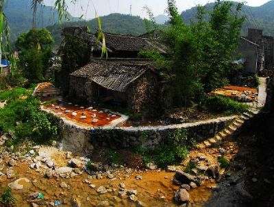 Wenzhou Siliandui Zaozhi Zuofang: A Hidden Gem for Culinary Explorers