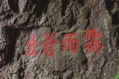 Experience the Serenity of Wenzhou Yandangshan Longbidong Moya Tiji: A Must-See Destination in Zhejiang