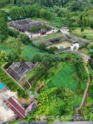 A Journey Through Time: The Cultural Significance of Wenzhou Yuyan Baoshi Zongci