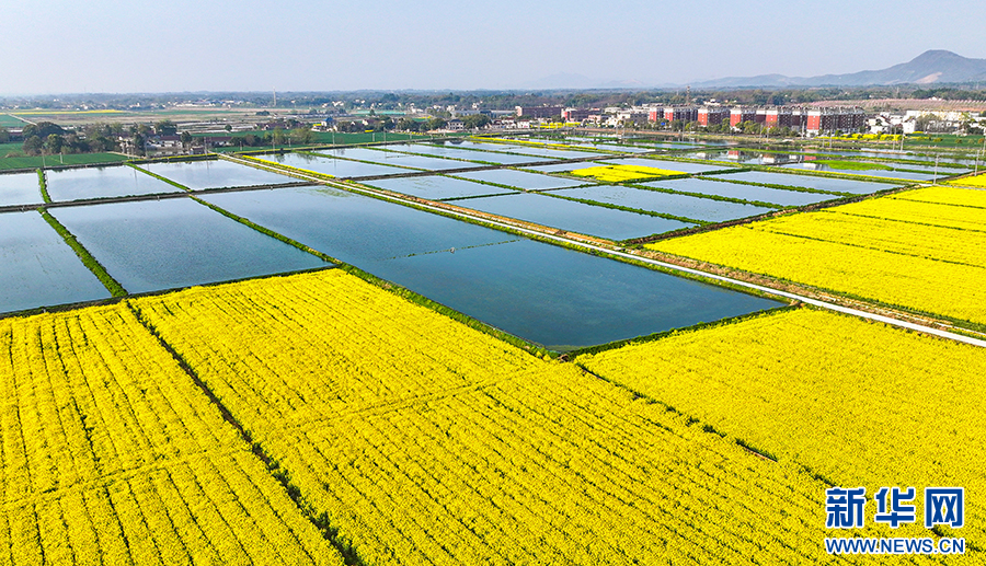 A scenic view of Wuhu Huangjin Ta
