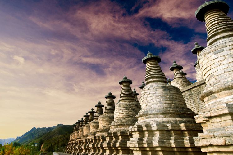 Wuzhong Dongfu: Embrace Nature and Culture in Ningxia’s Enchanting Landscape