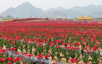 A scenic view of Wuzhong Gezishan Yizhi