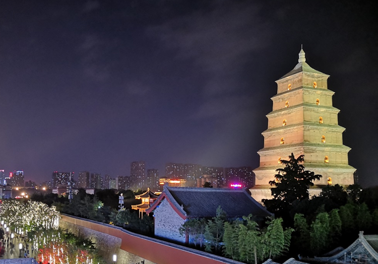 A scenic view of Xian Erlong Pagoda