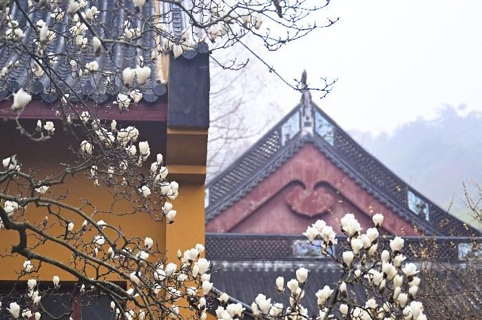A scenic view of Xian Ming Qin Prince Tombs
