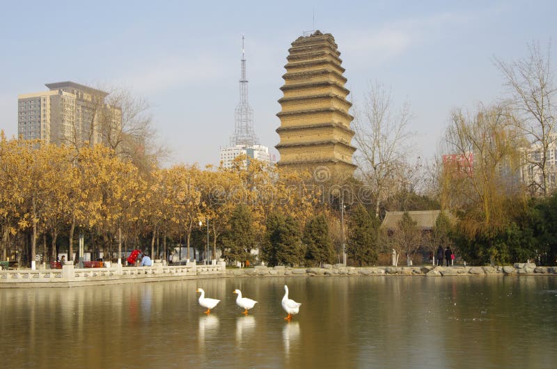 A scenic view of Xian Small Wild Goose Pagoda