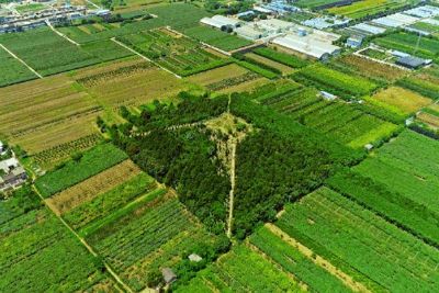 A scenic view of Xianyang Ancient Tai State Site Wugong