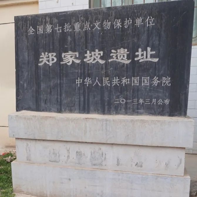Step Back in Time: The Rich Heritage of Xianyang Zhengjiapo Site