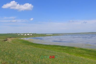 A Traveler’s Guide to Xilingol Engeerhemuqun: Nature, Culture, and Adventure Await in Inner Mongolia