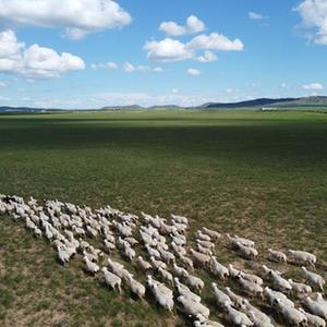 A scenic view of Xilingol Silangchenggucheng