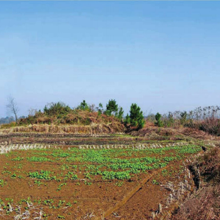 Discover the Hidden Gems of Xuancheng: A Journey Through Jianpingzhen Tudun Muqun
