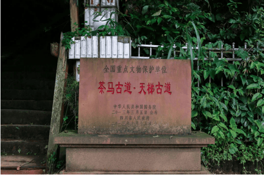 A Traveler’s Guide to Yaan Chamagudao: Experience the Beauty of Sichuan’s Countryside