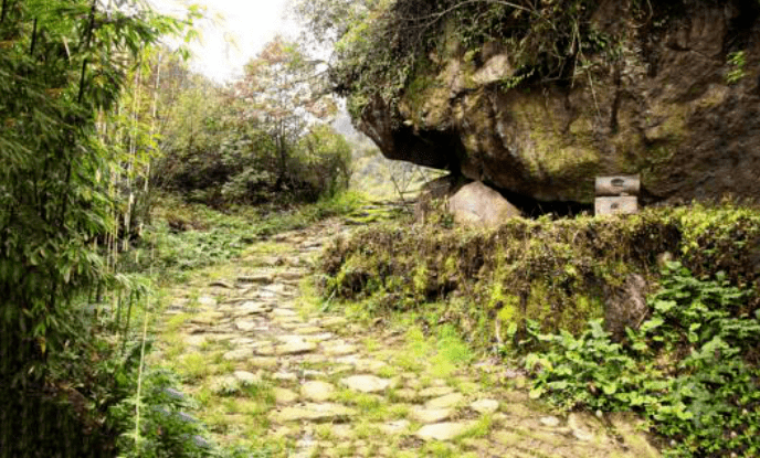 A scenic view of Yaan Chongxiu Daxiangling Qiaolu Bei