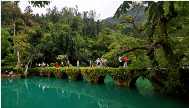 A scenic view of Yaan Chongxiu Daxiangling Qiaolu Bei