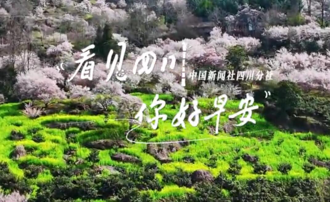 A scenic view of Yaan Kaishansi Zhengdian