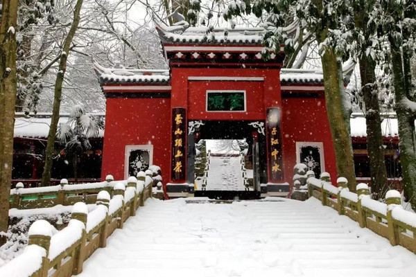 Yaan Mingshan Wenmiao: A Journey Through History and Heritage