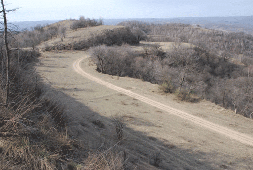 Yanan Qin Zhidao Yanan Section: A Hidden Gem in the Heart of Shaanxi