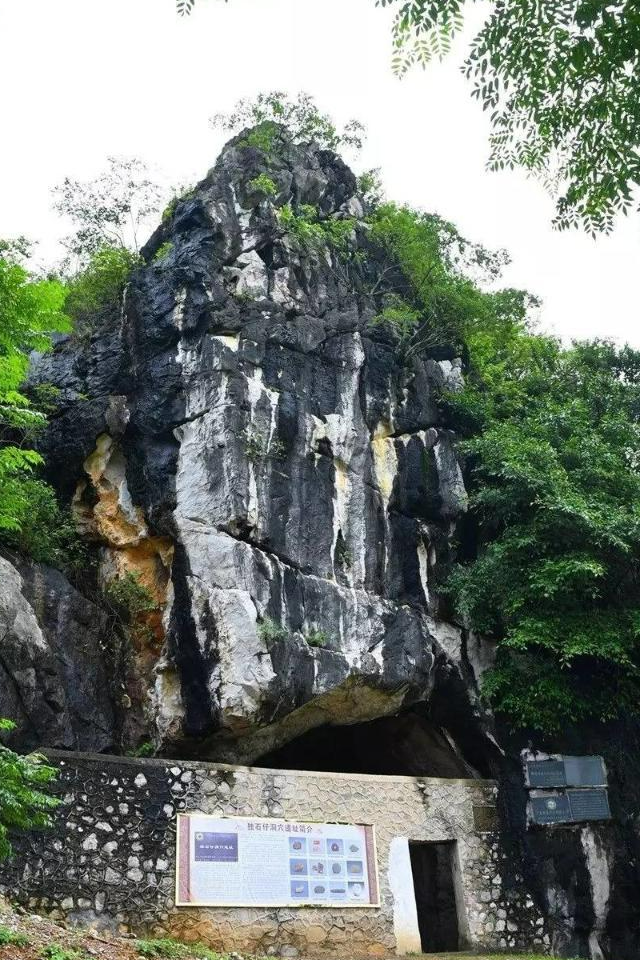 Experience the Serenity of Yangjiang Dushizai Dongxue Yizhi: Top Attractions and Activities in Guangdong