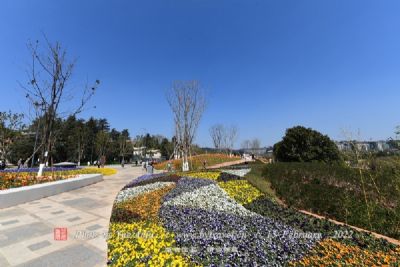 A scenic view of Yantai Qiujiazhuang Yizhi